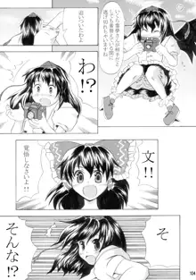 東方霊袖伝, 日本語