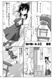 東方霊袖伝, 日本語