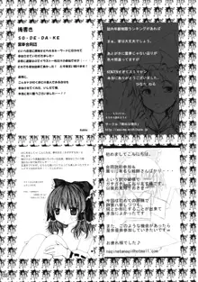 東方霊袖伝, 日本語