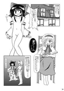 東方霊袖伝, 日本語