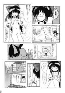 東方霊袖伝, 日本語