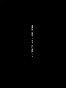 父と娘の思い出のアルバム2, 日本語