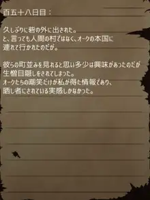 賢者ラヴィニアの手記～旧オーク砦にて発掘された遺稿～, 日本語