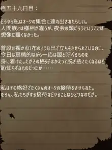 賢者ラヴィニアの手記～旧オーク砦にて発掘された遺稿～, 日本語