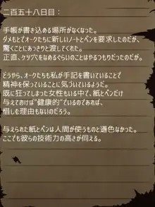 賢者ラヴィニアの手記～旧オーク砦にて発掘された遺稿～, 日本語