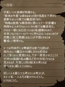 賢者ラヴィニアの手記～旧オーク砦にて発掘された遺稿～, 日本語