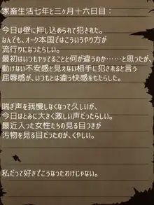 賢者ラヴィニアの手記～旧オーク砦にて発掘された遺稿～, 日本語