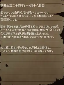 賢者ラヴィニアの手記～旧オーク砦にて発掘された遺稿～, 日本語