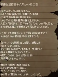 賢者ラヴィニアの手記～旧オーク砦にて発掘された遺稿～, 日本語