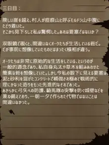 賢者ラヴィニアの手記～旧オーク砦にて発掘された遺稿～, 日本語