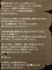 賢者ラヴィニアの手記～旧オーク砦にて発掘された遺稿～, 日本語