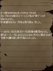 賢者ラヴィニアの手記～旧オーク砦にて発掘された遺稿～, 日本語