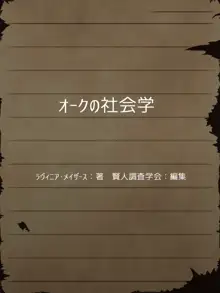 賢者ラヴィニアの手記～旧オーク砦にて発掘された遺稿～, 日本語