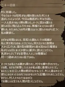 賢者ラヴィニアの手記～旧オーク砦にて発掘された遺稿～, 日本語