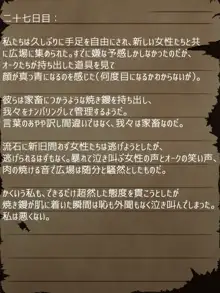 賢者ラヴィニアの手記～旧オーク砦にて発掘された遺稿～, 日本語