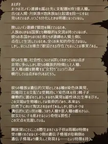 賢者ラヴィニアの手記～旧オーク砦にて発掘された遺稿～, 日本語