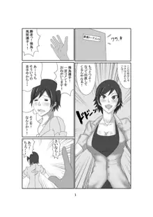 おせっかいな喧嘩仲裁屋2, 日本語