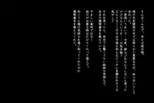 あの娘が歩けば棒に当たる, 日本語