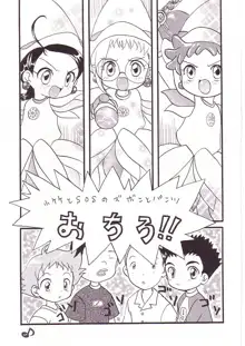 どれみパラダイス, 日本語