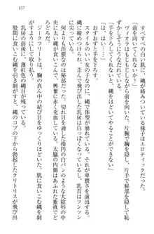 魔剣の魔メイドと魔の祝福, 日本語