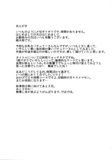 超ズボラでいやらしいパッチェさんが部屋にいたらの本, 日本語