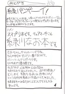 緑妻 なお29歳赤裸々夫婦生活, 日本語