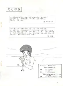 やってやって MISSION 1, 日本語