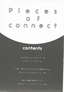 Pieces of connect, 日本語