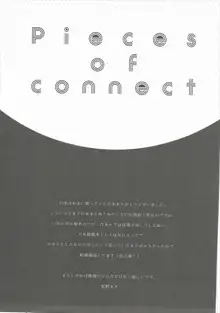 Pieces of connect, 日本語