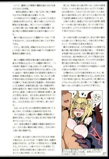 魔物娘図鑑II ~Monster Girl Encyclopedia II~, 日本語