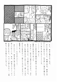 美色アカデミィー Vol.1, 日本語