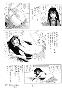 犯された生娘達3, 日本語