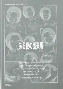 ある夜の出来事, 日本語