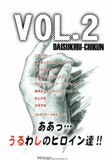 ああっ…うるわしのヒロイン達!! VOL.2, 日本語