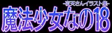 魔法少女なの18 -夜天さんイラスト集- 黒棒版, 日本語