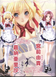 Dengeki Hime 2008-05, 日本語