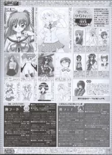 Dengeki Hime 2008-05, 日本語