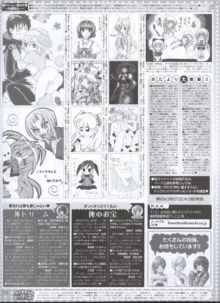 Dengeki Hime 2008-05, 日本語