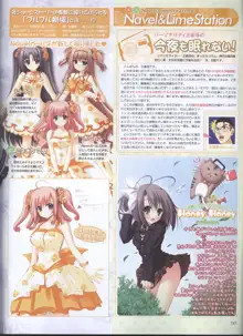 Dengeki 2008-06, 日本語