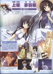 Dengeki 2008-06, 日本語