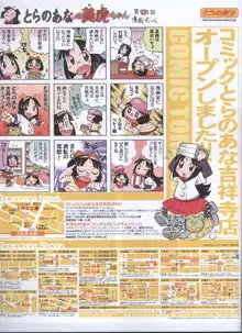 Dengeki 2008-06, 日本語