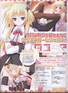 Dengeki 2008-06, 日本語