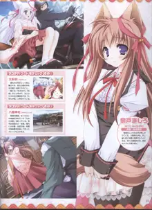 Dengeki 2008-06, 日本語