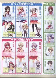 Dengeki 2008-06, 日本語