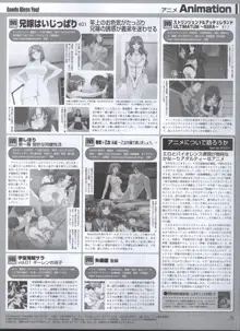 Dengeki 2008-06, 日本語