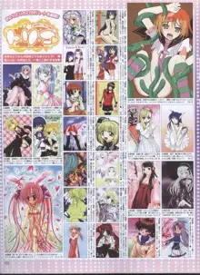 Dengeki 2008-06, 日本語