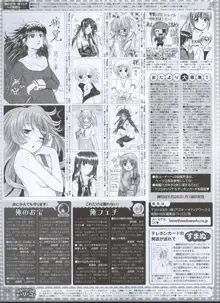 Dengeki 2008-06, 日本語