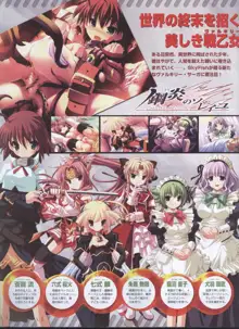 Dengeki 2008-06, 日本語