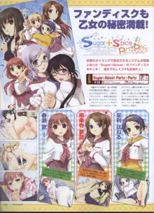 Dengeki 2008-06, 日本語