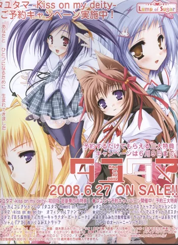 Dengeki 2008-06, 日本語